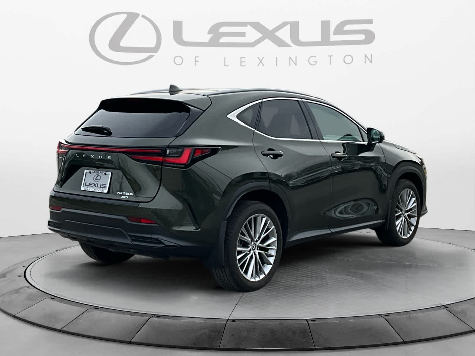 2025 Lexus NX Luxury