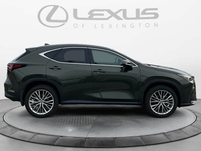2025 Lexus NX Luxury