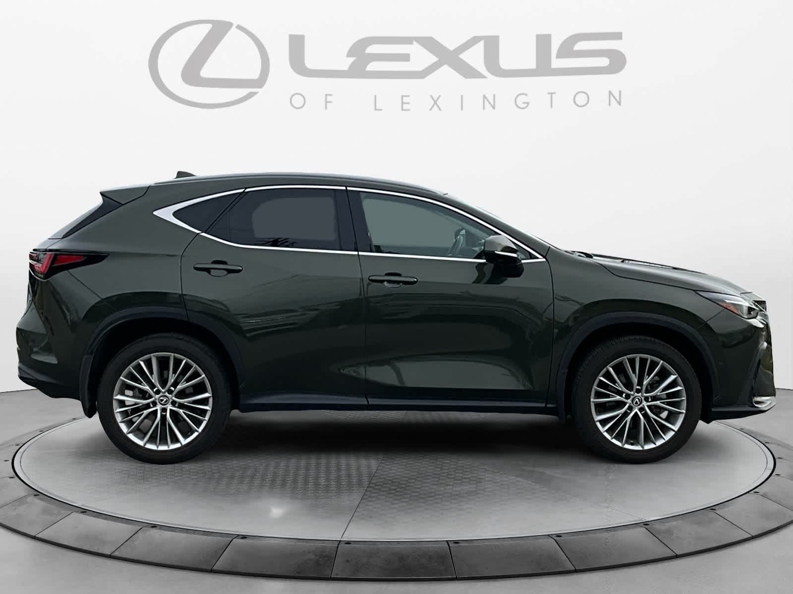 2025 Lexus NX Luxury