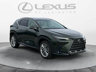2025 Lexus NX Luxury