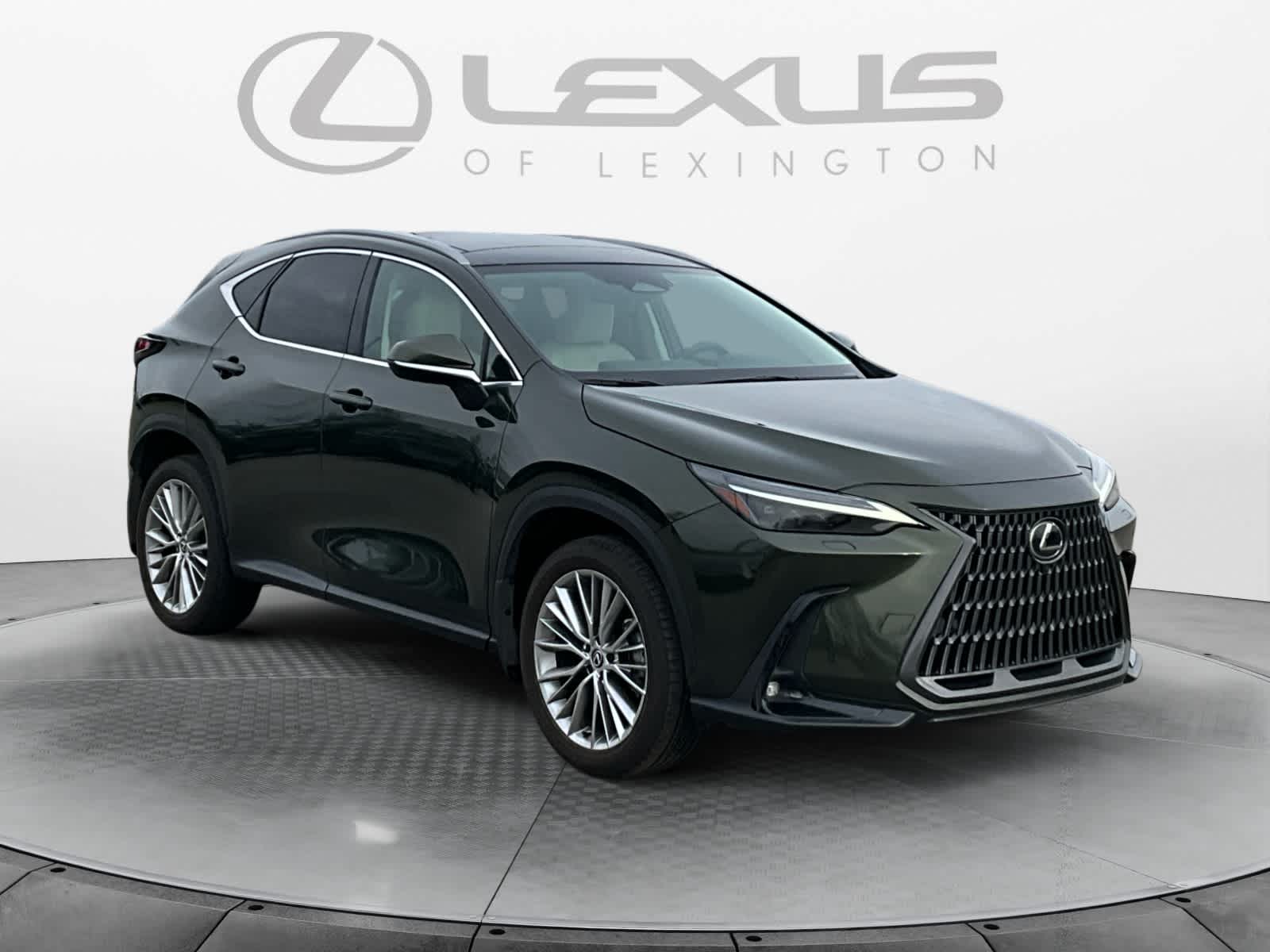 2025 Lexus NX Luxury
