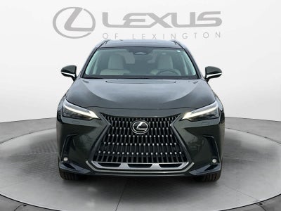 2025 Lexus NX Luxury