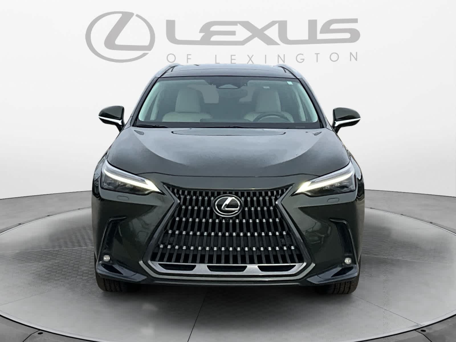 2025 Lexus NX Luxury