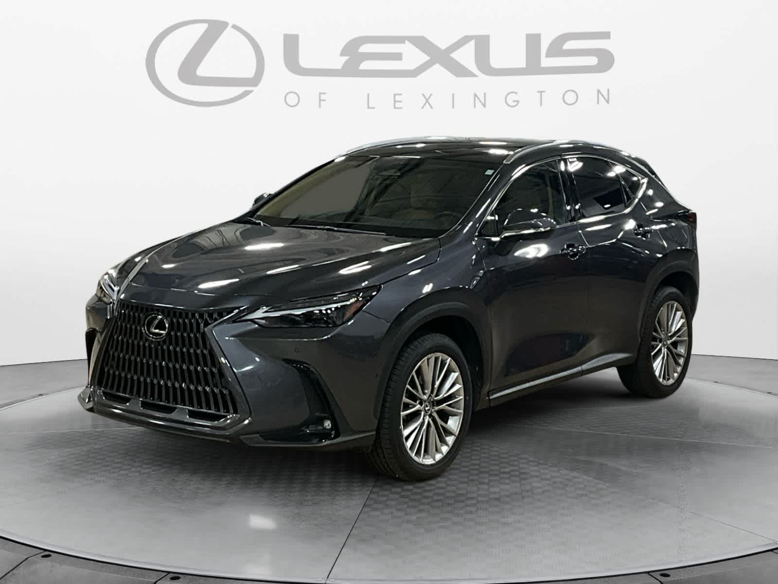 2025 Lexus NX 350h Luxury