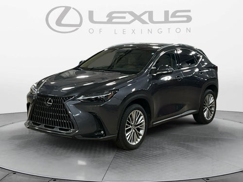 2025 Lexus NX 350h Luxury