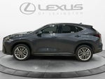 2025 Lexus NX 350h Luxury