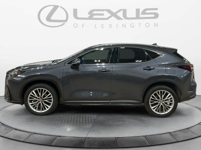 2025 Lexus NX 350h Luxury