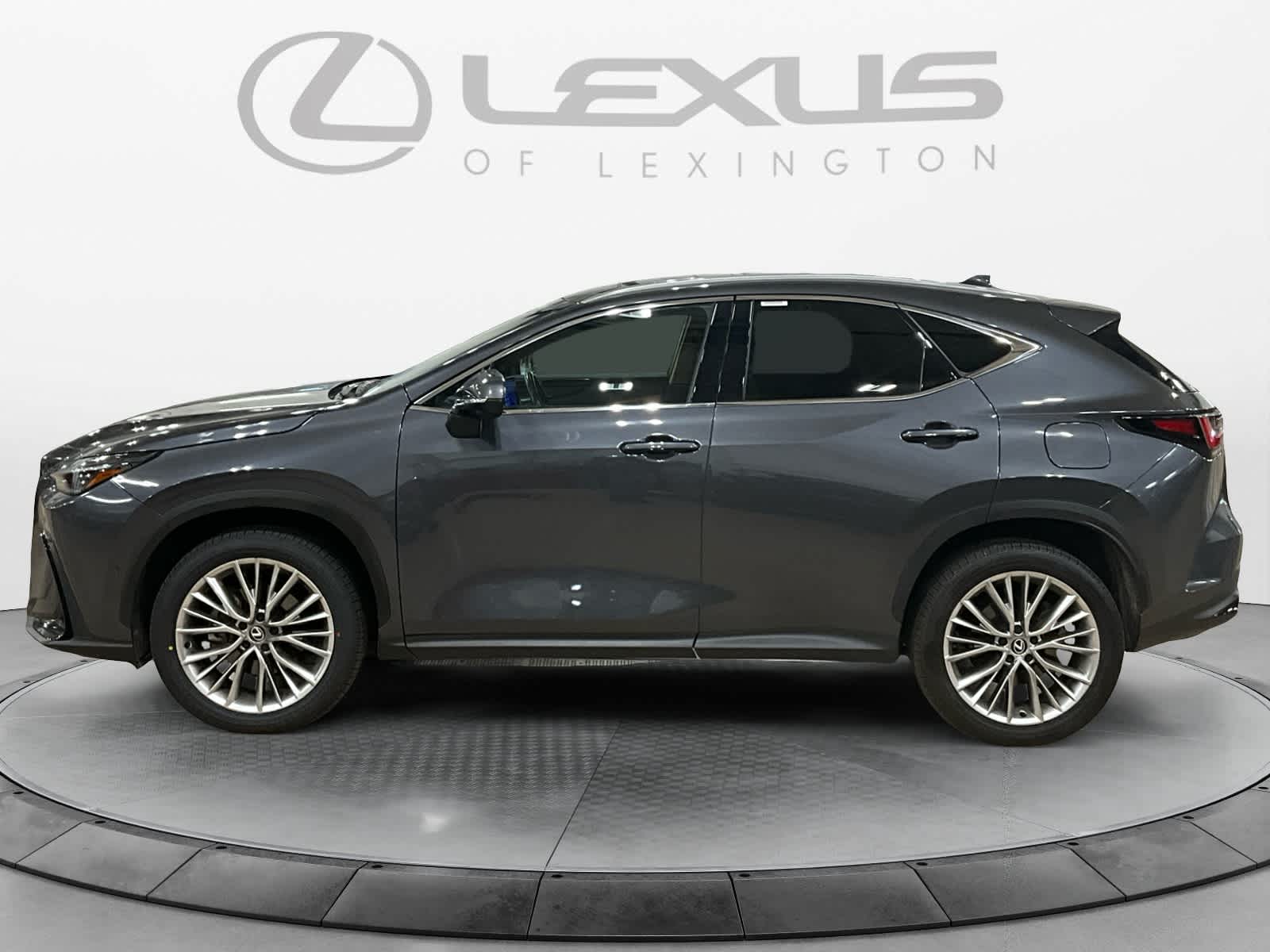 2025 Lexus NX 350h Luxury