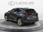 2025 Lexus NX 350h Luxury