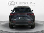 2025 Lexus NX 350h Luxury