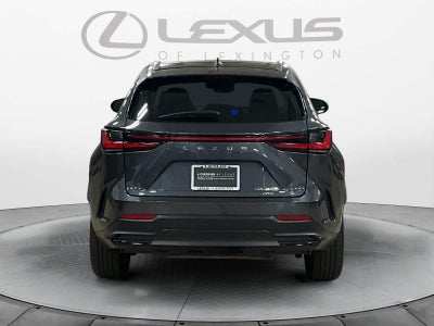2025 Lexus NX 350h Luxury