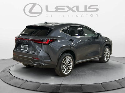 2025 Lexus NX 350h Luxury