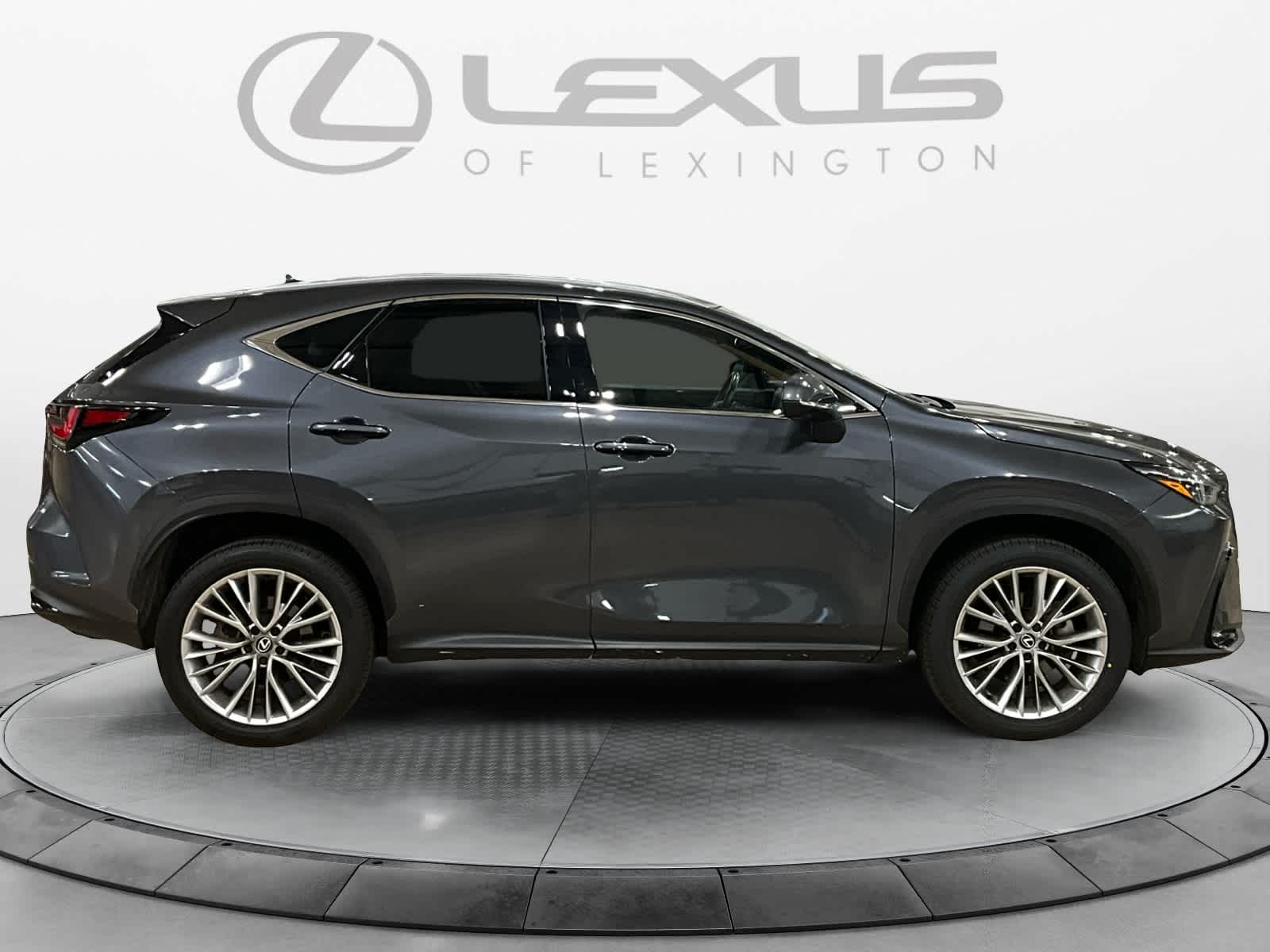 2025 Lexus NX 350h Luxury