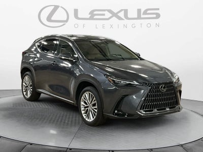 2025 Lexus NX 350h Luxury