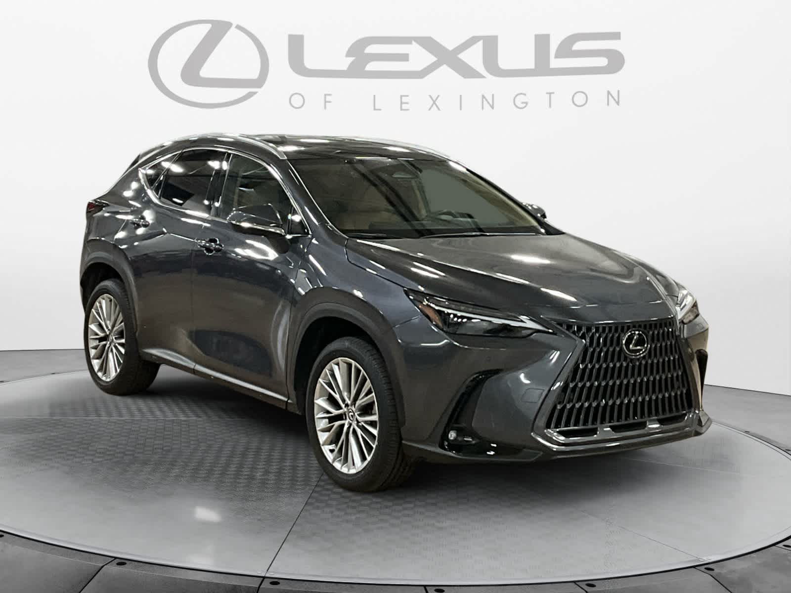 2025 Lexus NX 350h Luxury