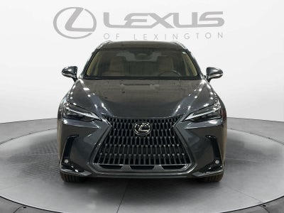 2025 Lexus NX 350h Luxury