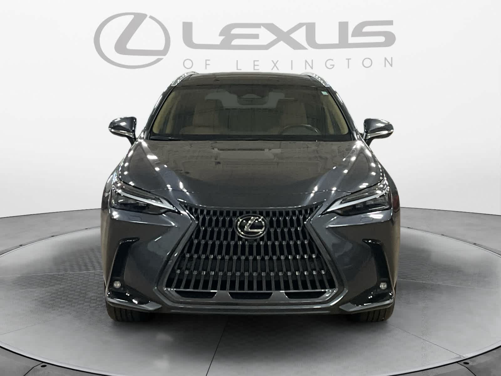 2025 Lexus NX 350h Luxury
