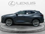 2026 Lexus NX 350h Luxury