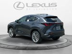 2026 Lexus NX 350h Luxury