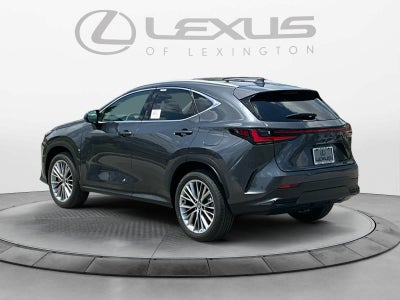 2026 Lexus NX 350h Luxury