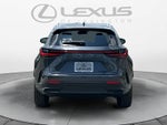 2026 Lexus NX 350h Luxury