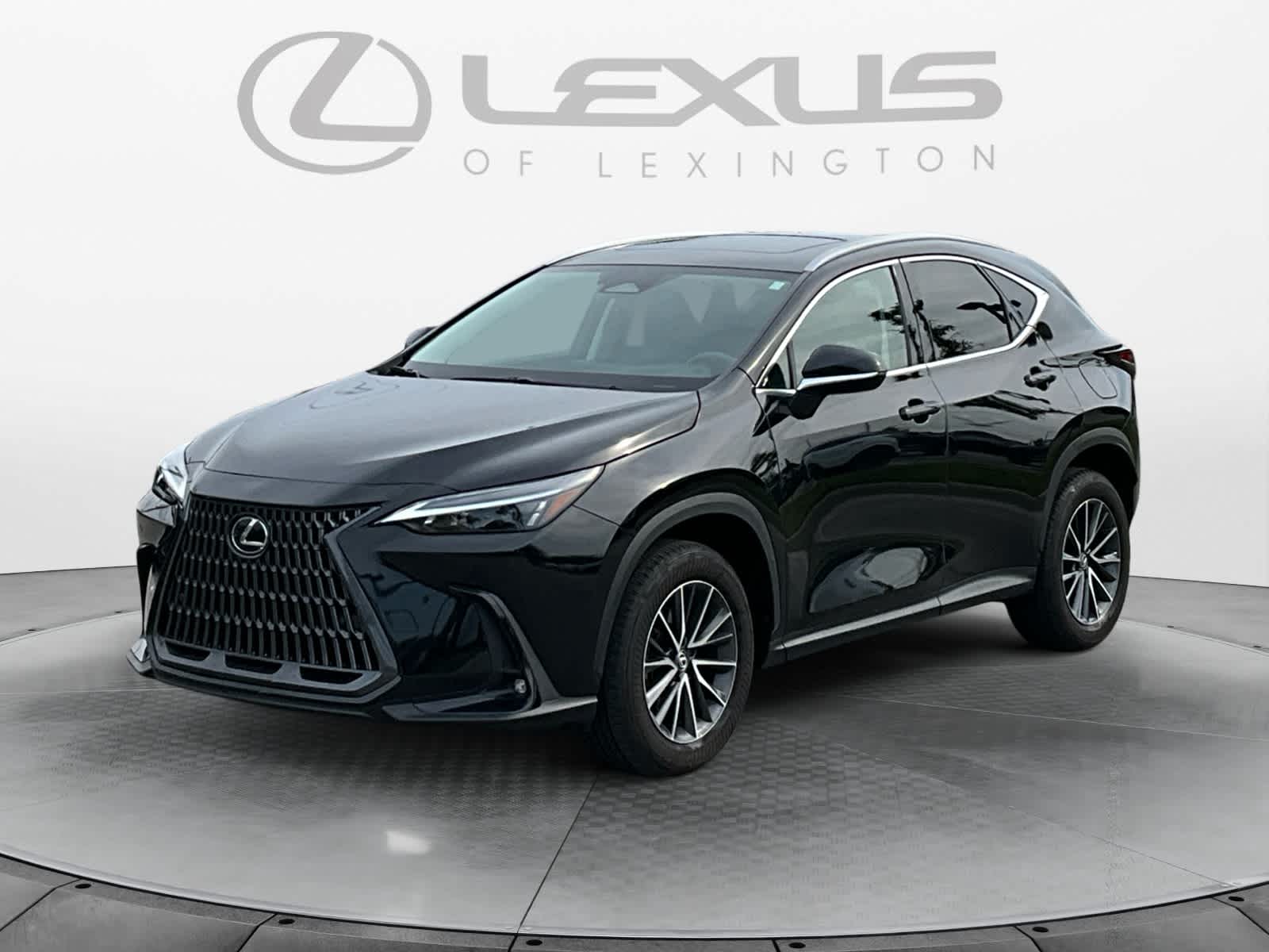 2024 Lexus NX 350h Luxury