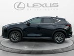 2024 Lexus NX 350h Luxury