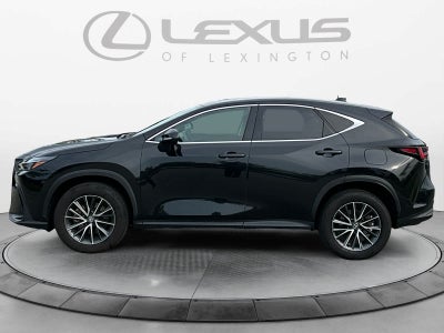 2024 Lexus NX 350h Luxury