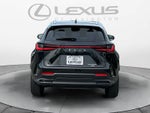 2024 Lexus NX 350h Luxury