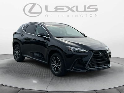2024 Lexus NX 350h Luxury