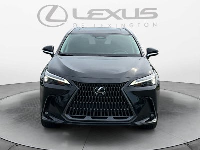 2024 Lexus NX 350h Luxury