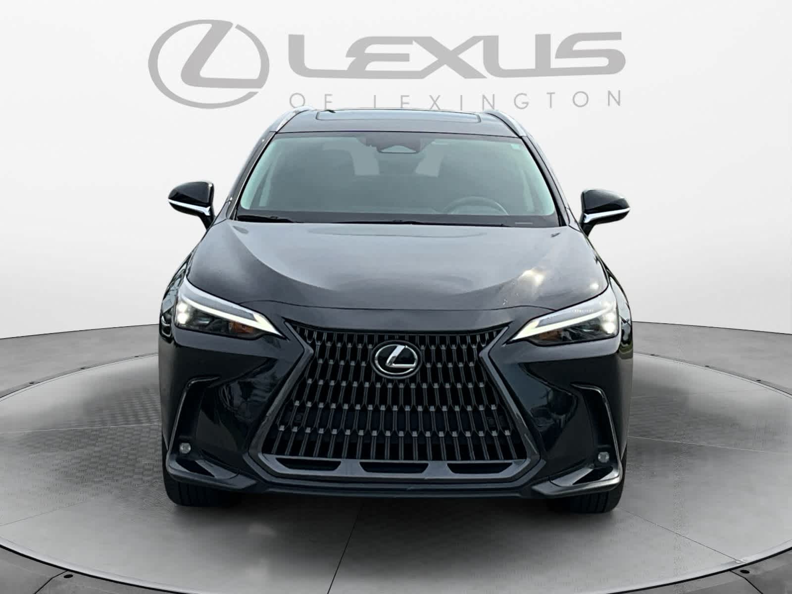 2024 Lexus NX 350h Luxury