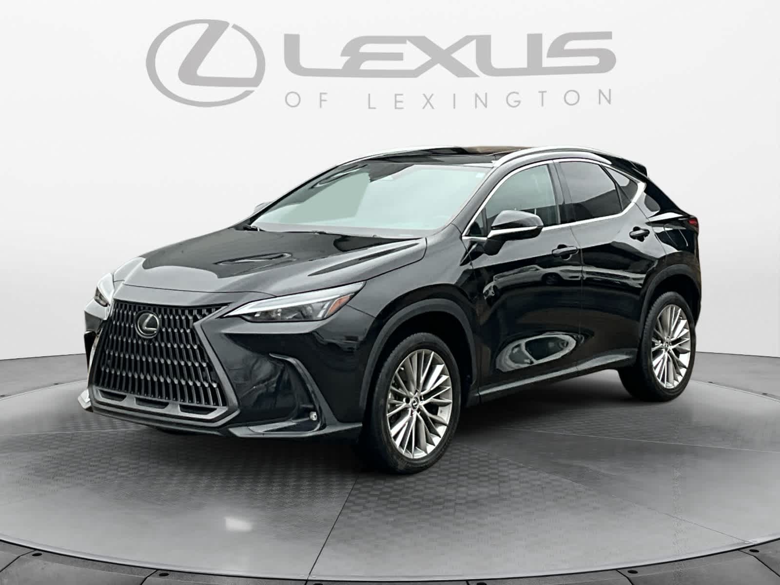 2023 Lexus NX Luxury