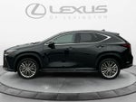 2023 Lexus NX Luxury