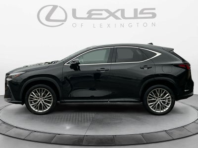 2023 Lexus NX Luxury
