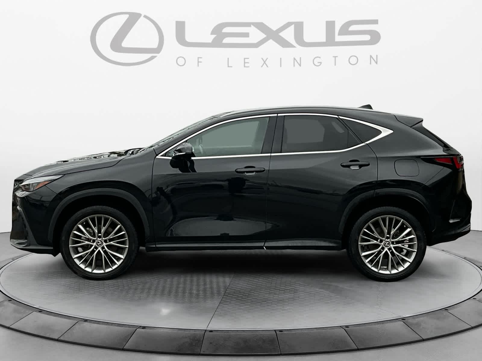 2023 Lexus NX Luxury