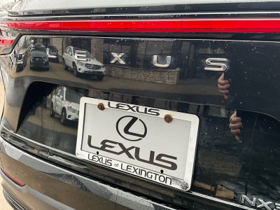 2023 Lexus NX Luxury