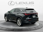 2023 Lexus NX Luxury