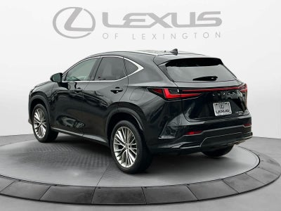 2023 Lexus NX Luxury