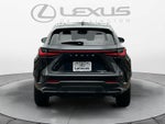 2023 Lexus NX Luxury