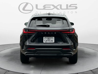 2023 Lexus NX Luxury