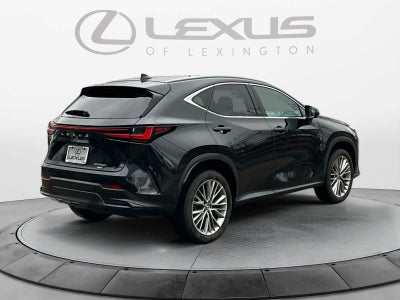 2023 Lexus NX Luxury
