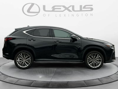 2023 Lexus NX Luxury