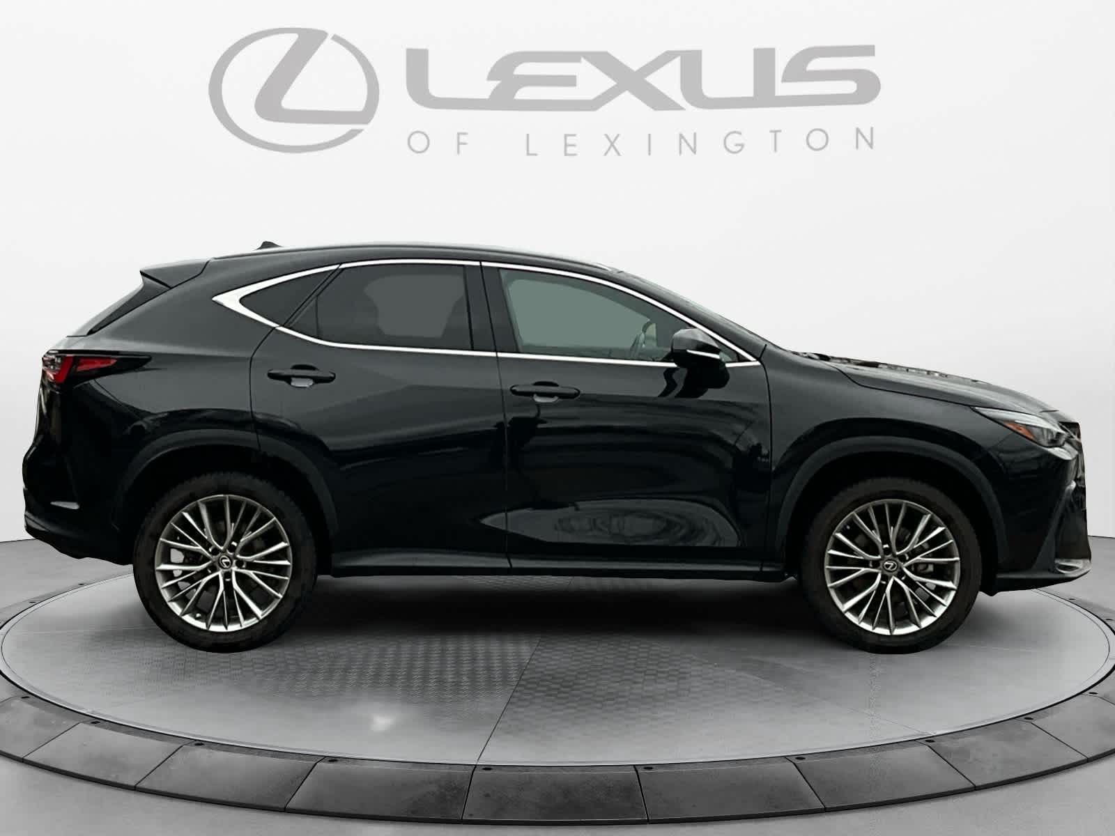2023 Lexus NX Luxury