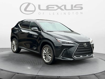 2023 Lexus NX Luxury