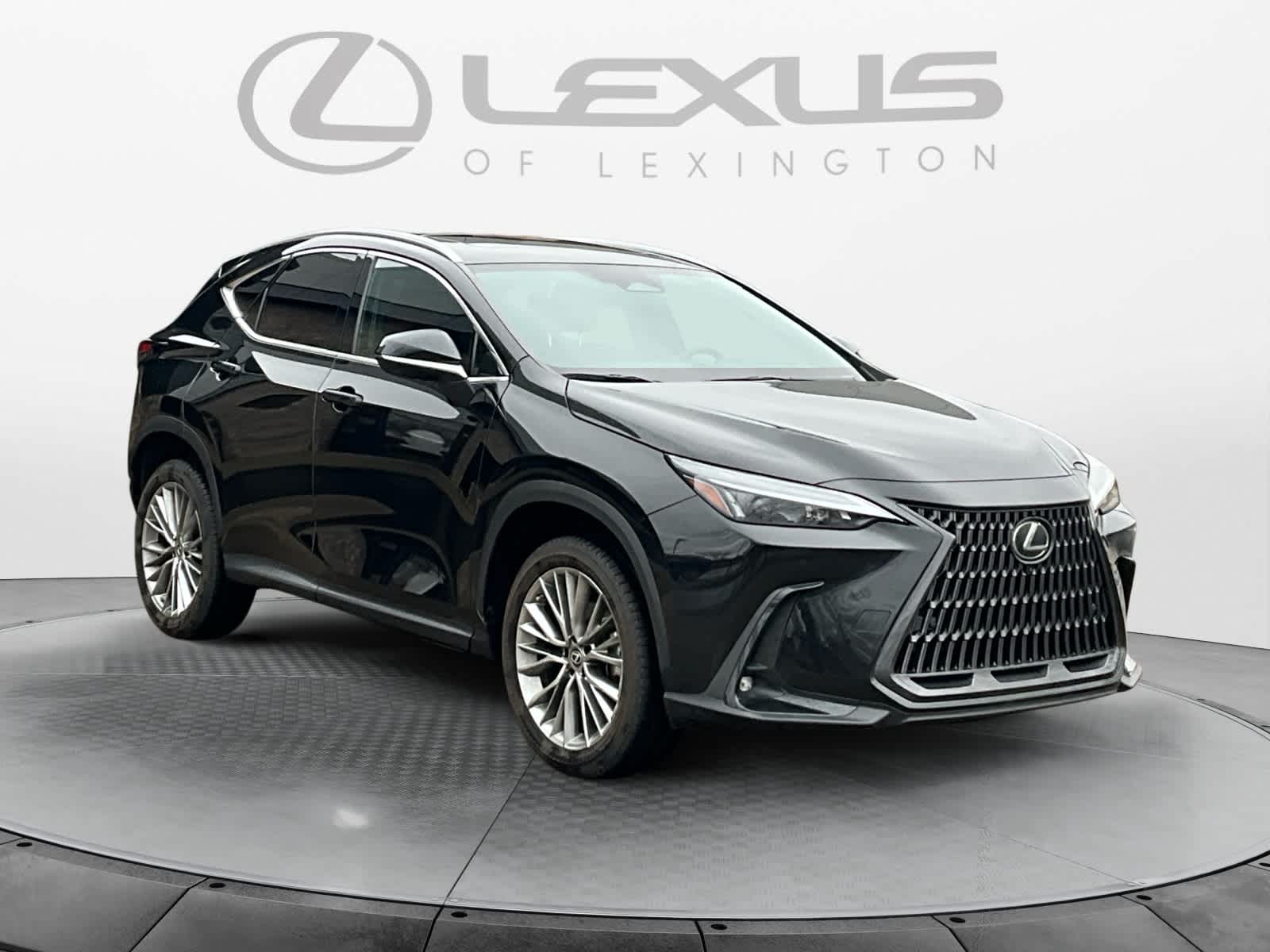 2023 Lexus NX Luxury