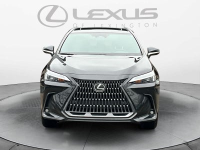 2023 Lexus NX Luxury