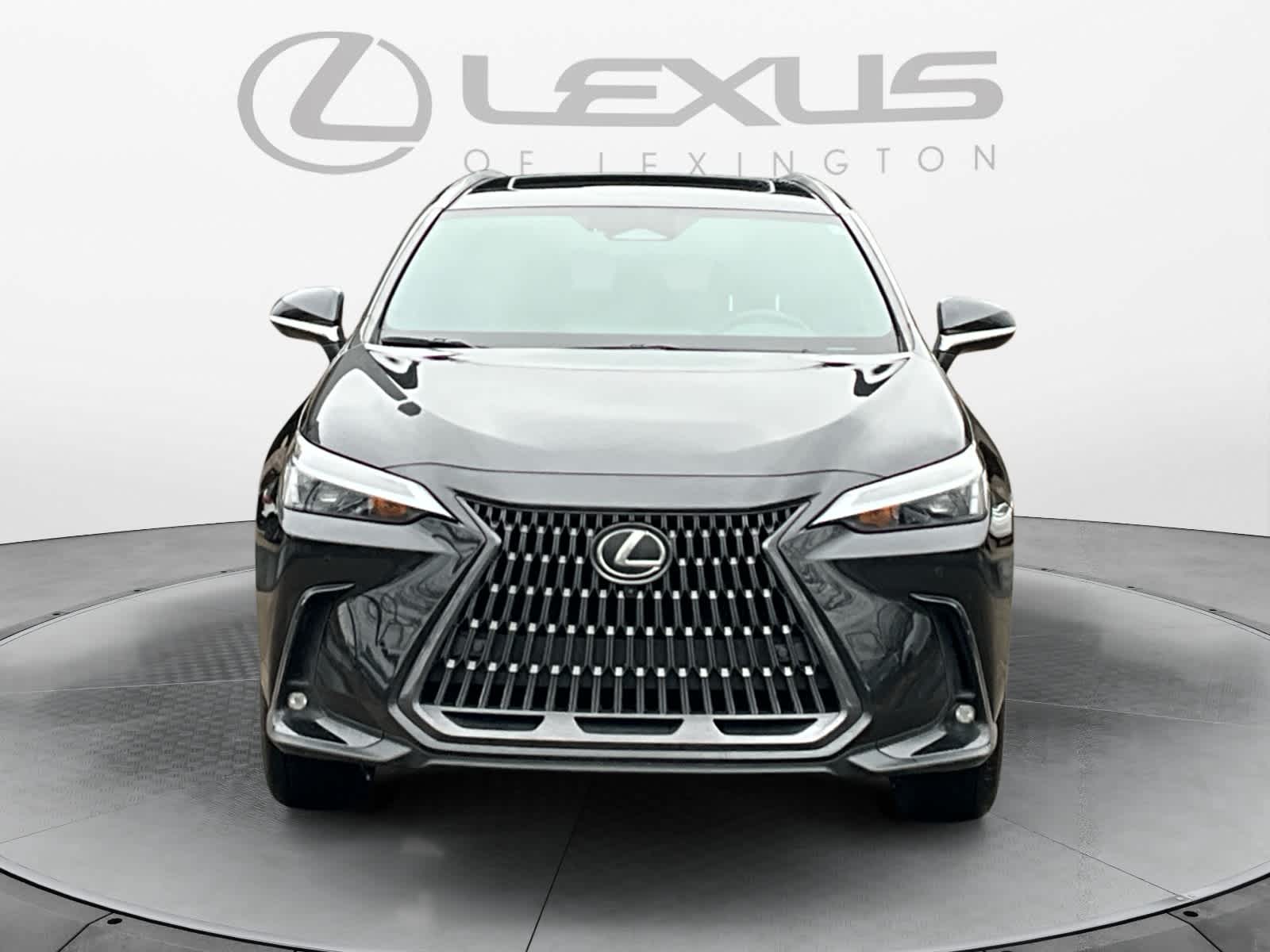 2023 Lexus NX Luxury