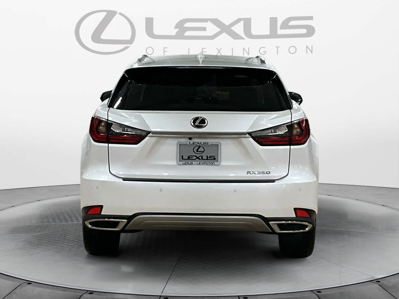 2022 Lexus RX 350 RX 350