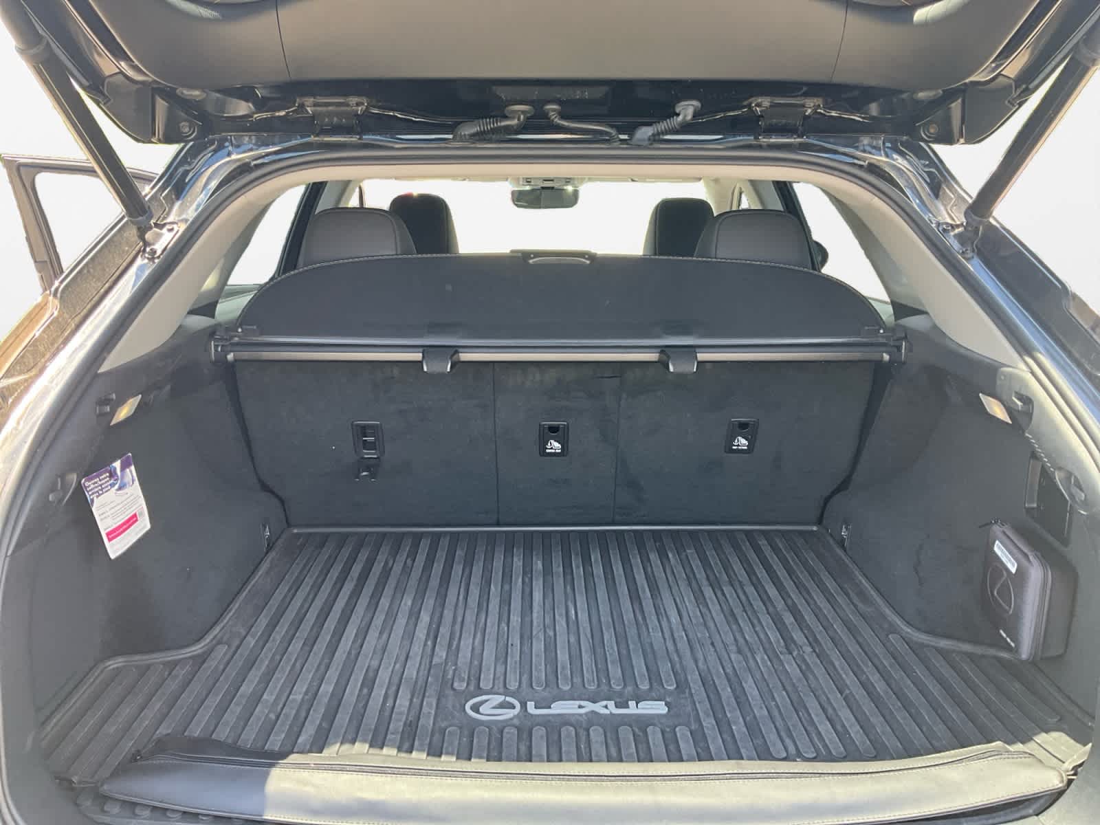 2022 Lexus RX 350 RX 350